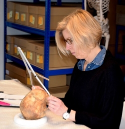 Measuring skull